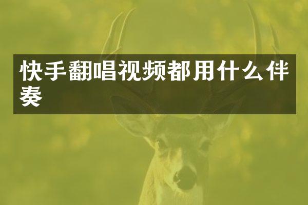快手翻唱视频都用什么伴奏