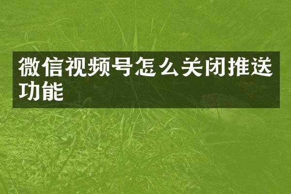 微信视频号怎么关闭推送功能