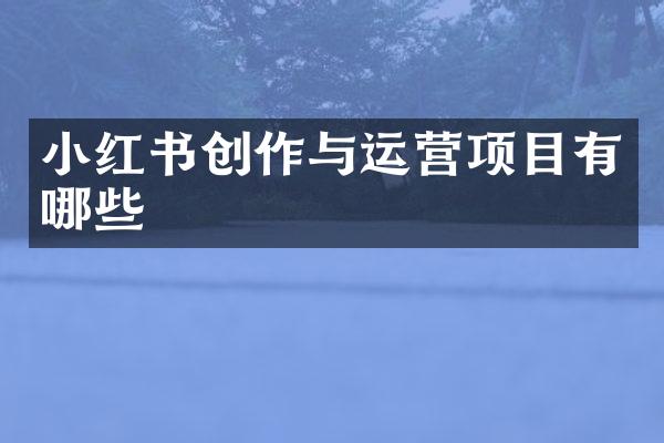 小红书创作与运营项目有哪些