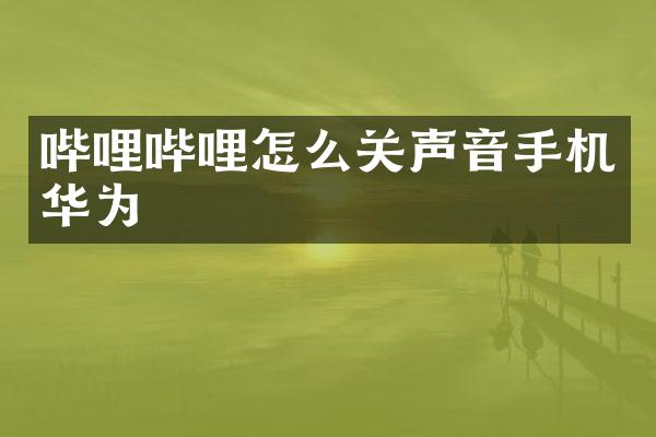 哔哩哔哩怎么关声音手机华为