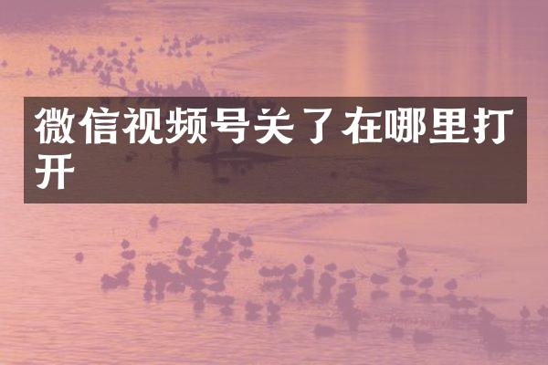 微信视频号关了在哪里打开