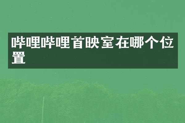 哔哩哔哩首映室在哪个位置