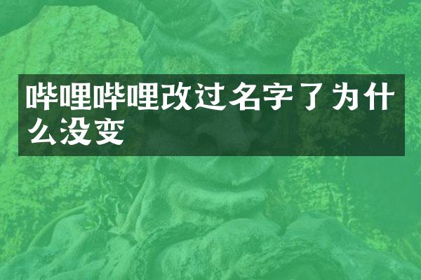 哔哩哔哩改过名字了为什么没变