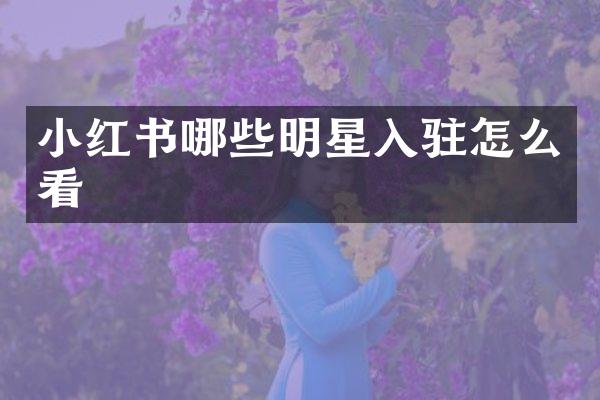 小红书哪些明星入驻怎么看