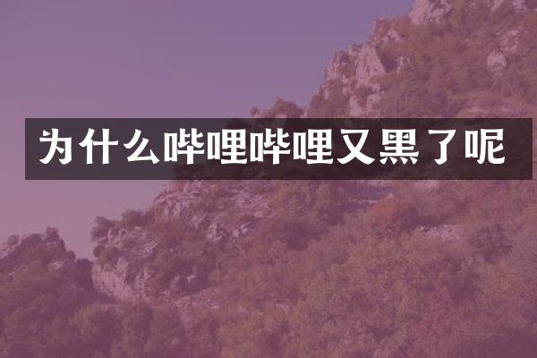 为什么哔哩哔哩又黑了呢