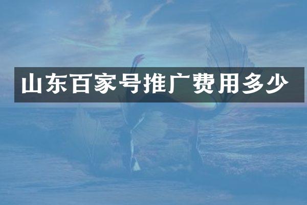 山东百家号推广费用多少