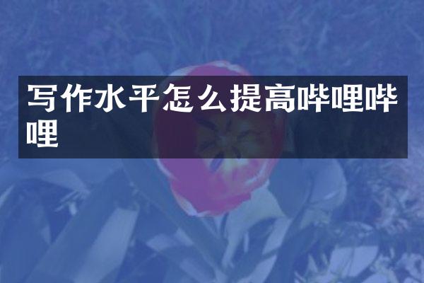 写作水平怎么提高哔哩哔哩