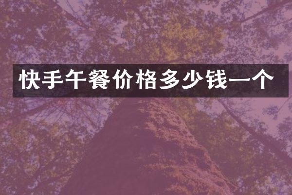 快手午餐价格多少钱一个