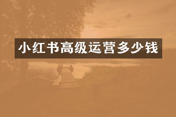 小红书高级运营多少钱