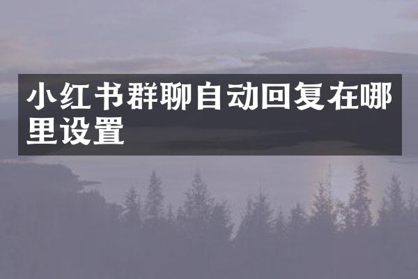 小红书群聊自动回复在哪里设置
