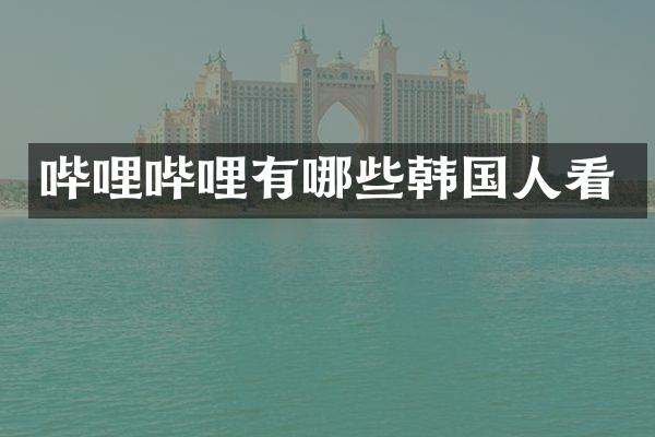哔哩哔哩有哪些韩国人看