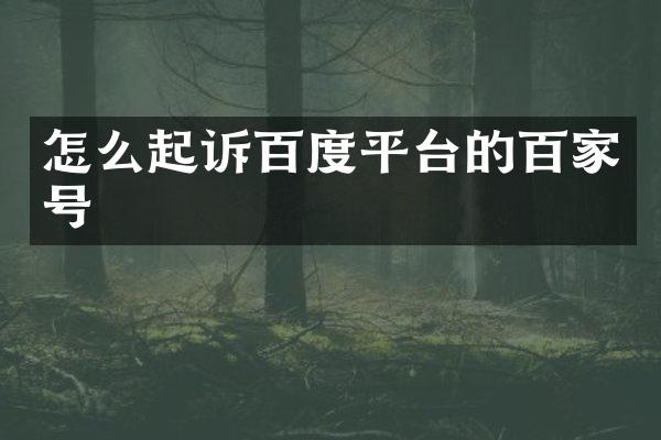 怎么起诉百度平台的百家号