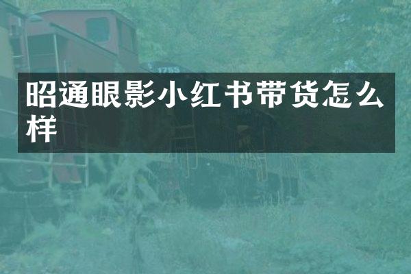 昭通眼影小红书带货怎么样