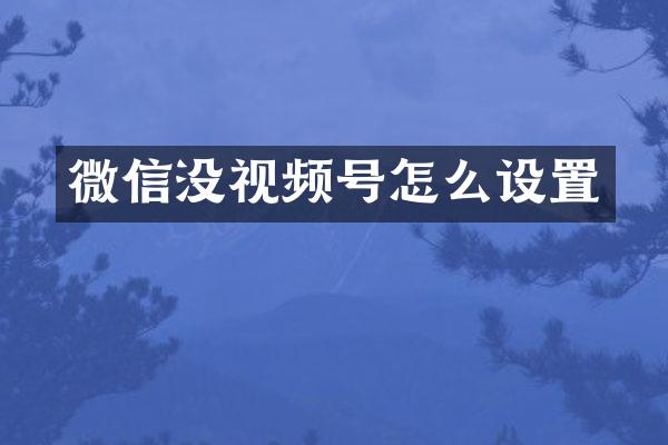 微信没视频号怎么设置