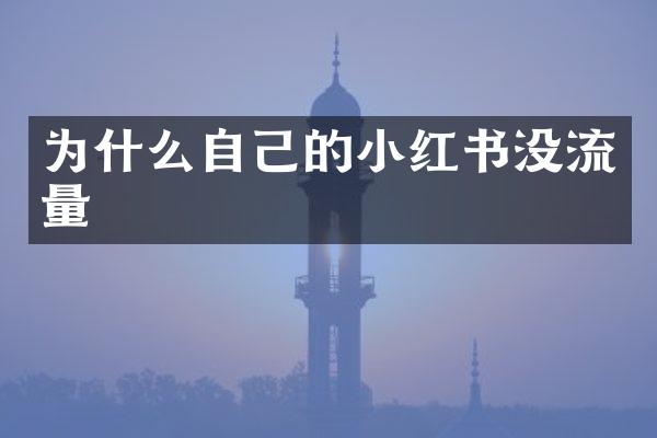 为什么自己的小红书没流量