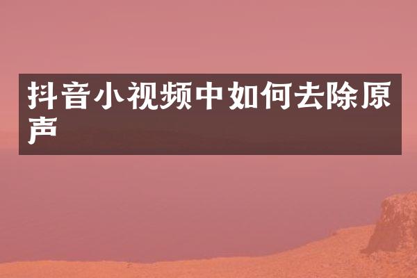 抖音小视频中如何去除原声