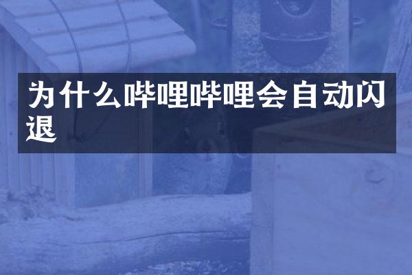为什么哔哩哔哩会自动闪退