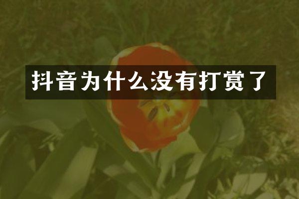 抖音为什么没有打赏了