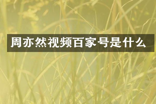 周亦然视频百家号是什么