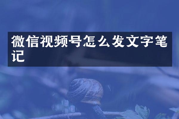 微信视频号怎么发文字笔记