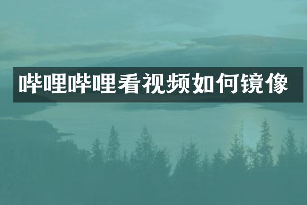 哔哩哔哩看视频如何镜像