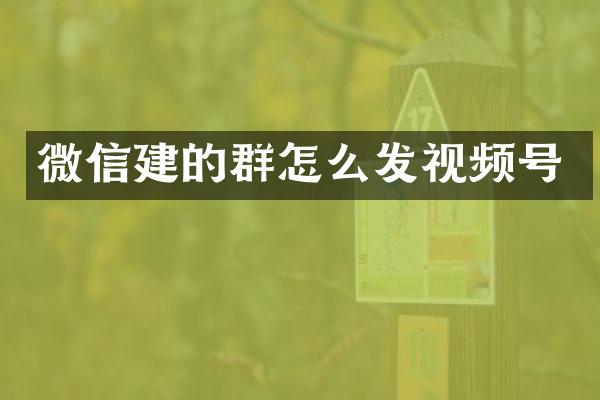 微信建的群怎么发视频号