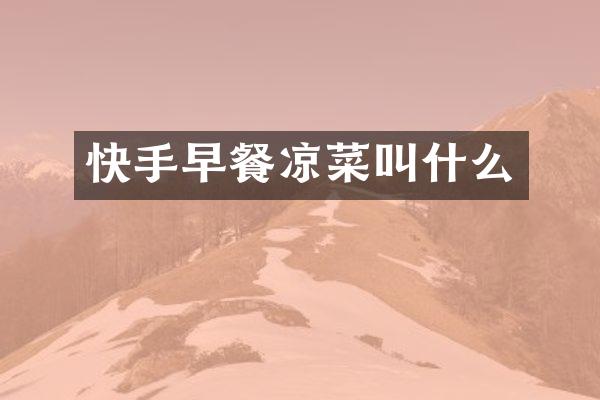 快手早餐凉菜叫什么