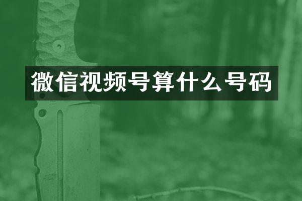 微信视频号算什么号码