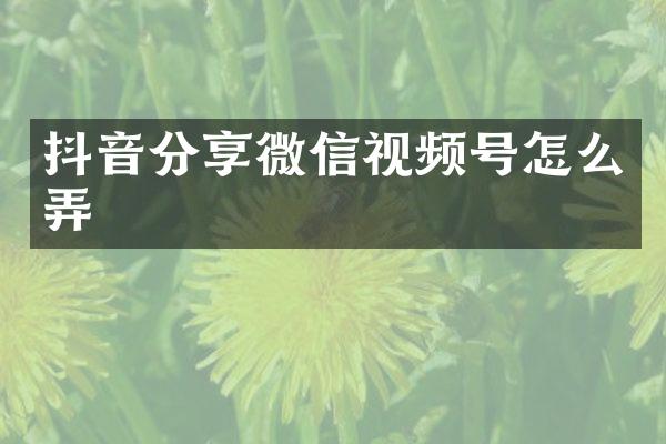 抖音分享微信视频号怎么弄