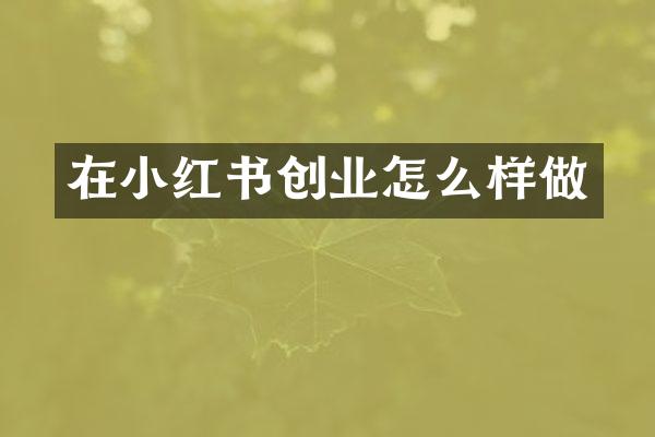 在小红书创业怎么样做
