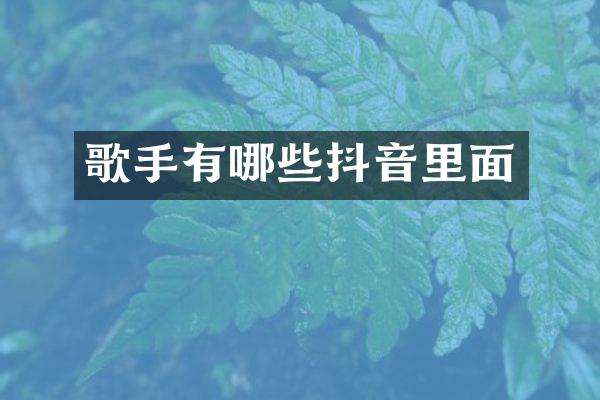 歌手有哪些抖音里面