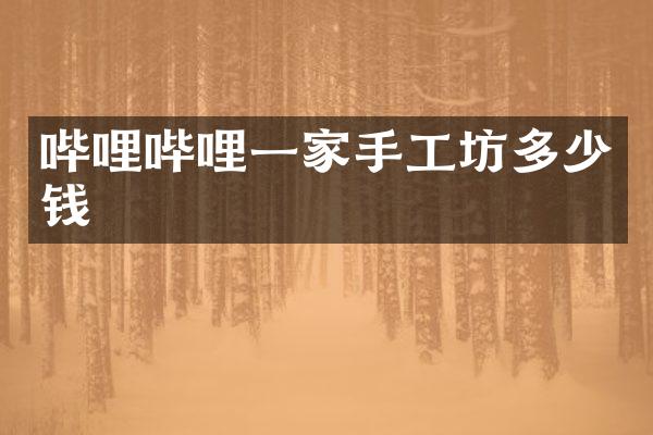 哔哩哔哩一家手工坊多少钱