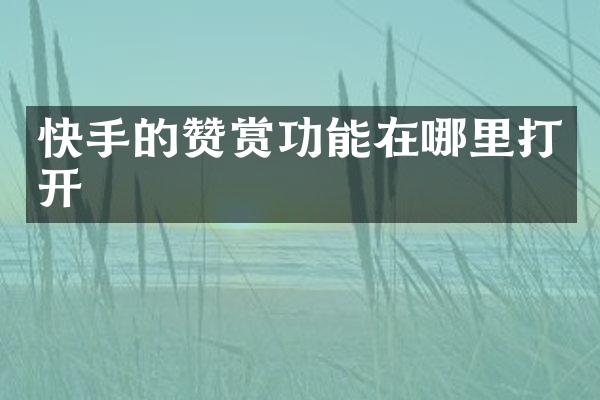 快手的赞赏功能在哪里打开