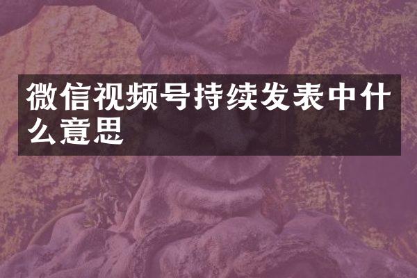 微信视频号持续发表中什么意思