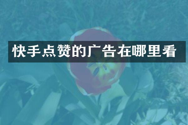 快手点赞的广告在哪里看