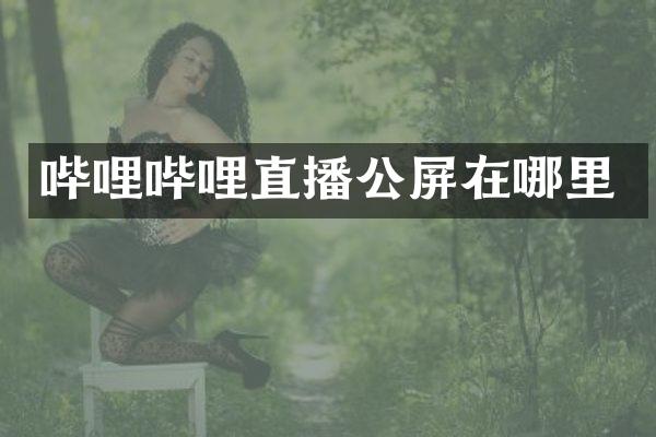 哔哩哔哩直播公屏在哪里