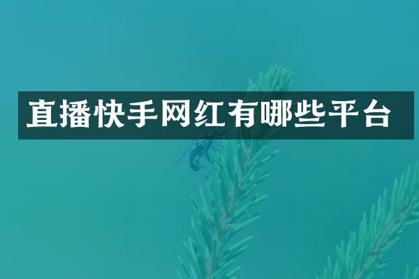 直播快手网红有哪些平台