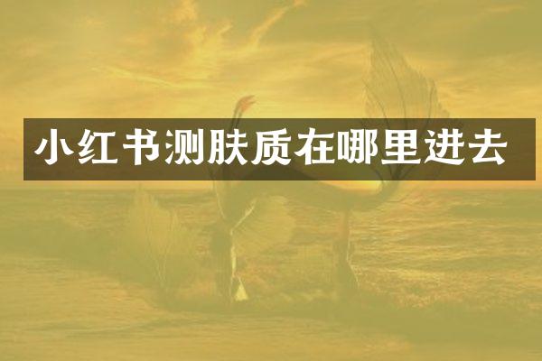 小红书测肤质在哪里进去