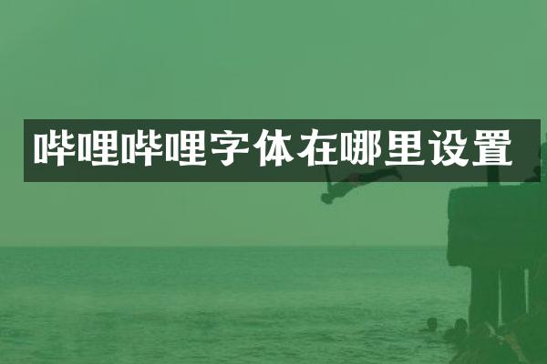 哔哩哔哩字体在哪里设置