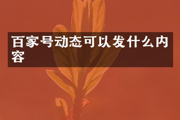 百家号动态可以发什么内容