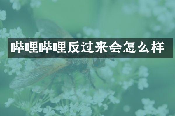 哔哩哔哩反过来会怎么样