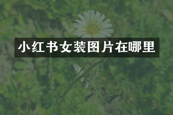 小红书女装图片在哪里
