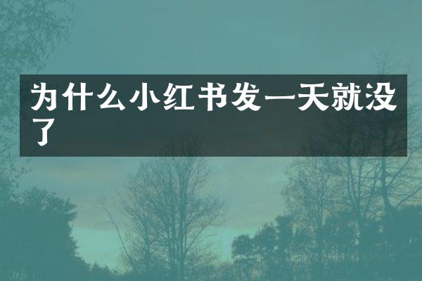 为什么小红书发一天就没了