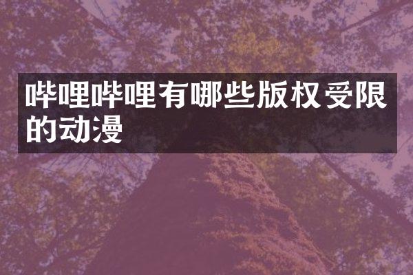 哔哩哔哩有哪些版权受限的动漫