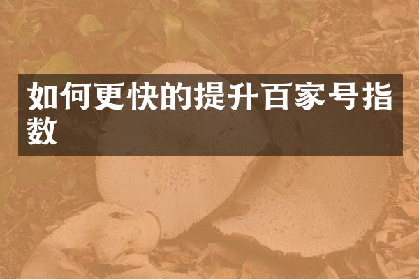 如何更快的提升百家号指数
