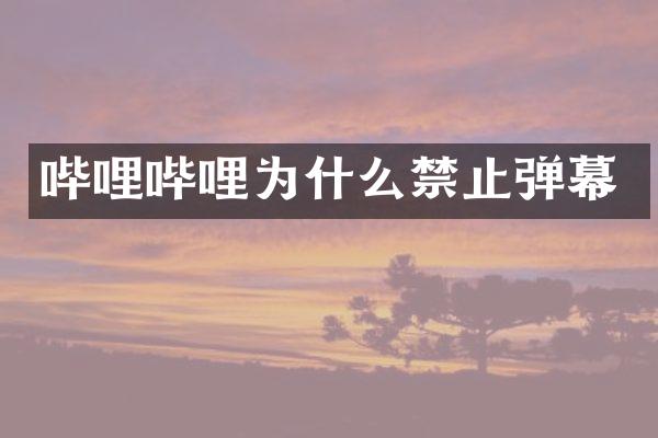 哔哩哔哩为什么禁止弹幕