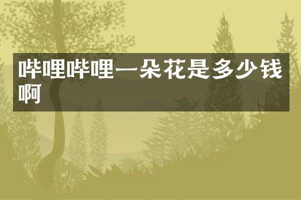哔哩哔哩一朵花是多少钱啊