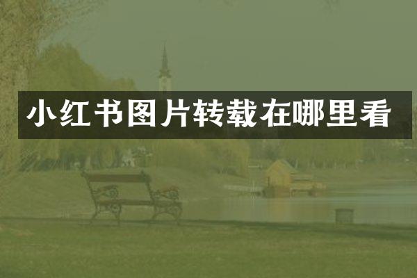 小红书图片转载在哪里看