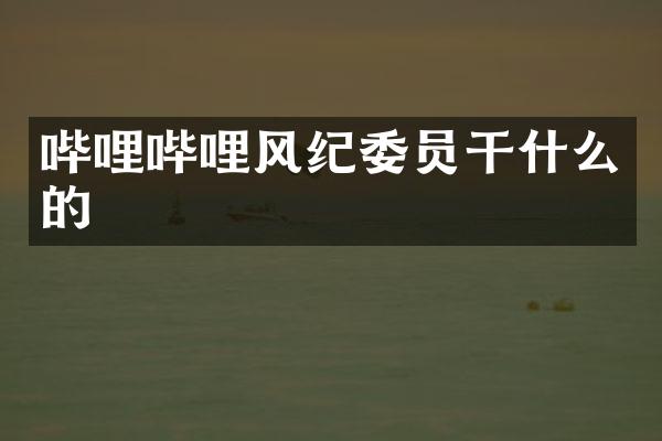哔哩哔哩风纪委员干什么的