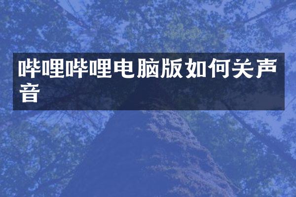 哔哩哔哩电脑版如何关声音